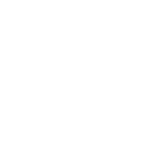 Whitestone Partners logo