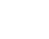 Broad Street Bulls logo