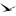 ArcTern Ventures logo