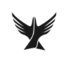 Coup Capital Management Inc. logo