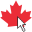 BrightLane logo