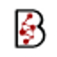 BKR Capital logo
