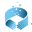 DianLiang Capitals logo