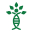 Panacea Venture logo