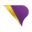 Purple Next logo