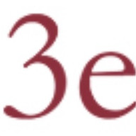 3e Capital Group logo