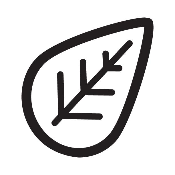 RootCamp - A SpinLab Incubator logo