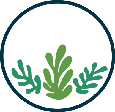 ORI Capital logo