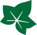 IvyCap Ventures logo