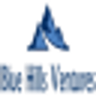Blue Hills Ventures logo