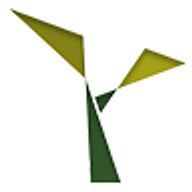 NevaTeam Ventures logo