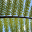 Rowan Simpson logo