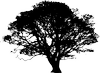 EIK Gruppen logo