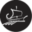 Black Sea Fund logo