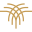 Palm Capital (Cape Town) logo