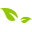 SEIS logo