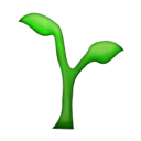 Brian Truong logo