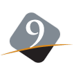Ninth Street Capital logo