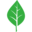 Aspen Grove Capital logo