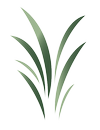 Creation Investments Capital Management, LLC logo