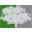 Silver Oak Services Partners logo