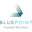 Blue Point Capital Partners logo