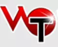 Wayzata Investment Partners logo