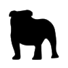 Bulldog Innovation Group LLC logo