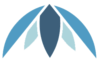 Palm Ventures logo