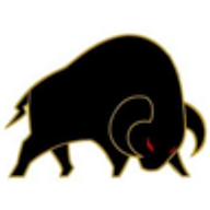 Raging Bull logo