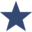 Texas Growth Fund logo