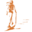 Walkabout Ventures logo