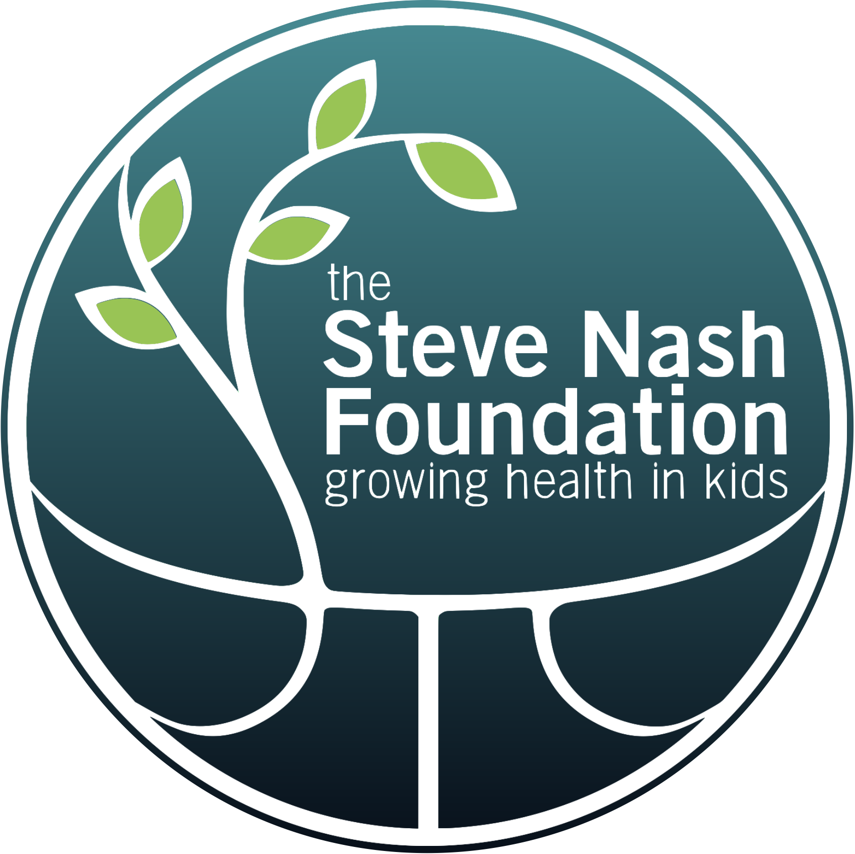 Stephen Nash logo