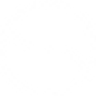 Devin Wade logo
