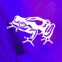frogVentures logo