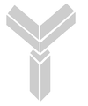 Yellowstone Capital Partners, LLC logo