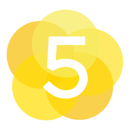 5Lights logo