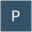 Pine Island Capital Partners logo