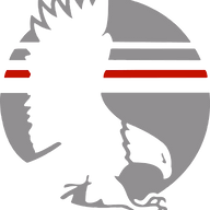 Talon Group logo