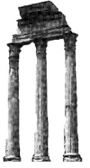 TRIAD Capital Management logo