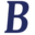 Braga Investment & Advisory logo