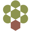 Olive Tree Capital logo
