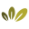 Green Seed Group logo