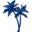 Palm Street Capital logo